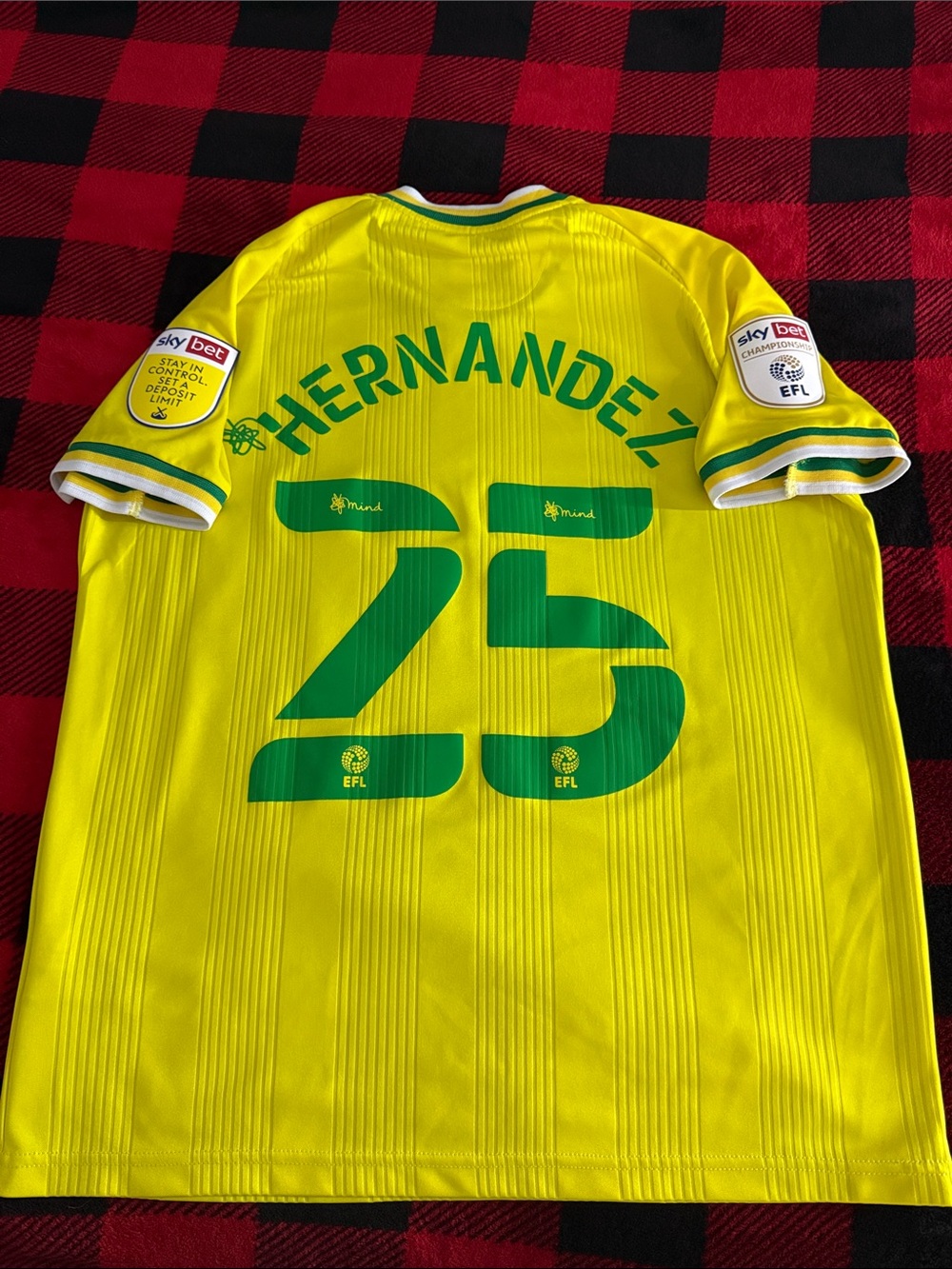 Norwich City #25 Onel Hernandez 2020-21 Errea EFL Championship Home Jersey